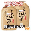 分つき米 玄米 7分づき 5分づき 米 10kg (5kg×2) 篠山 コシヒカリ 出荷日精米 送料無料 お米 令和7年産