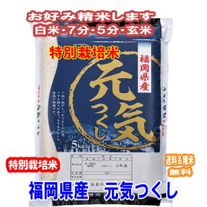 V ߘa7NY   7Â 5Â 5kgʍ͔|  C B̂