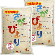 分つき米 玄米 7分づき 5分づき 米 10kg(5kg×2)さがびより 佐賀県 特別栽培米 出荷日精米 送料無料 お米…