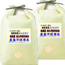 無農薬 分つき米 玄米 無化学肥料米 米10kg (5kg×2)コシヒカリ 滋賀県産 特別栽培米 送料無料お米 7分づき 5分づき 出荷日精米 令和7年産