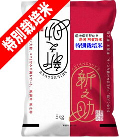 分つき米 玄米 7分づき 5分づき 米 5kg 特別栽培米 新潟県 新之助 しんのすけ 出荷日精米 送料無料 お米 令和7年産