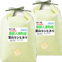 分つき米 玄米 7分づき 5分づき 米10kg (5kg×2)コシヒカリ 富山県産出荷日精米 送料無料 お米 令和7年産