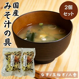 【1,000円ポッキリ】 国産みそ汁の具 40g×2袋 国産 なす 玉ねぎ 人参 具だくさん 味噌汁の具 みそ汁の具 送料無料 ゆうパケット