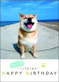 【学研】メッセージブック　誕生日　柴犬まる　32ページ(メッセージ欄有)　メール便可