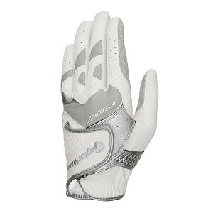 e[[Ch St TM24 C^[NX 6.0 O[u / zCg/O[