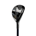 【期間限定価格3/11まで】 Qi10 レスキュー / N.S.PRO 820 GH
