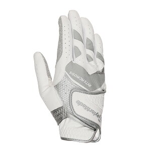 e[[Ch St  E蒅p TM24 C^[NX 6.0 O[u / zCg/O[