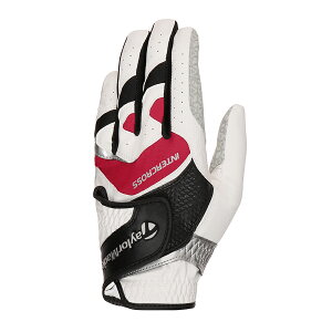 e[[Ch St TM24 C^[NX 6.0 O[u / zCg/bh