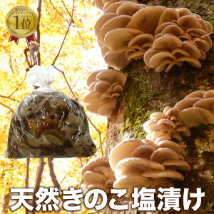 天然 きのこ きのこの通販 価格比較 価格 Com