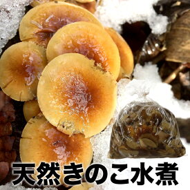 楽天市場 天然 きのこの通販