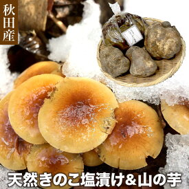 楽天市場 天然 きのこの通販