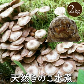 天然きのこ水煮2kg【ご予約受付中11月発送】秋田産 ナラタケ ムキタケ アミタケ ナメコ 産地直送 国産 直売 なめたけ 天然キノコ きのこ鍋 お歳暮 自然食 お年賀 ギフト