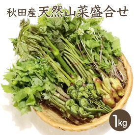 天然山菜盛合せ1kg【ご予約承り中！5月上旬発送】秋田産 しどけ 葉わさび こごみ たらの芽 わらび ふきのとう ねまがり竹 あいこ 山うど 山菜セット 採りたて お取寄せ 山の幸