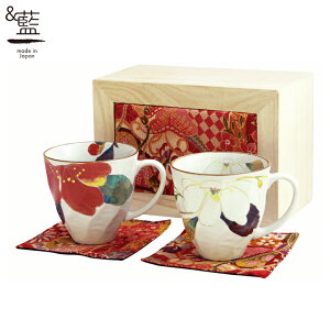 yj v[g Mtgz & Ԃ낤 yA}OJbv (߂ؔ) | Z }OJbv }O LO Mtg  a v[g Ƒ  vw  Jbv җ