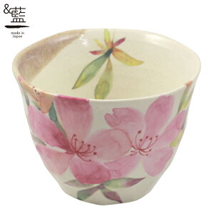 & Ԃ  iPijS2 |  { Jbv a Ƒ Z   җj 킢 c c a ̂ ۂ   Z~bN