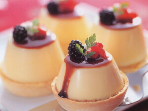 CiVN 炩v̑f 750g ɓߐHi v̑f fU[g lR|X