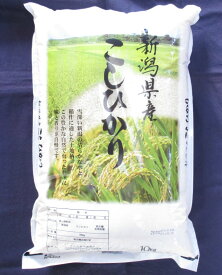 令和5年度産 新潟県産こしひかり 10kg 白米 備蓄 保存食