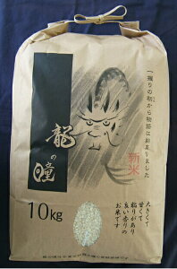 ߘa7NxY ˎY ̓  10kg  ̂̈   Ε ۑ ۑH