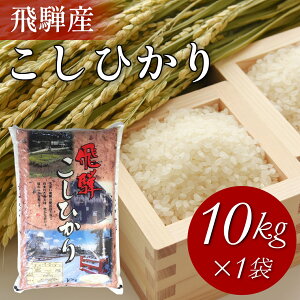 yVāz  10kg ˎY RVqJ ߘa7NxY  ~ Ђ 