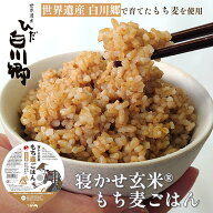 白川村産 寝かせ玄米もち麦ごはん 【6食/12食/24食/48食】 玄米 白川郷 国産 寝かせ玄米 もち麦 パックご…