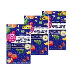 【3袋セット】医食同源ドットコム 232夜間Diet酵素(ナイトダイエット酵素) 120粒 (ゆうパケット送料無料) (TTH)