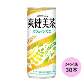 爽健美茶 245g缶×30本 コカ・コーラ直送商品以外と 同梱不可 【D】【サイズD】