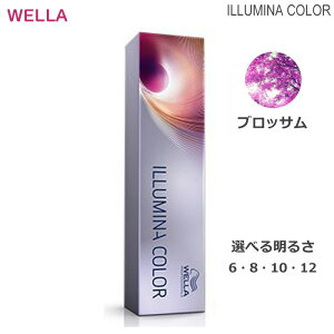 /XSiP5{!X[p[SALEԒIvGg[/EF C~iJ[ 80g eF Ɩp wAJ[ 1 ubT (Iׂ閾邳 6 8 10 12) Tꔄi e ѐ Y fB[X (