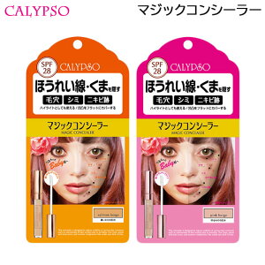 /XSiP5{!X[p[SALEԒIvGg[/(Zbg) Jv\ }WbNRV[[ T[x[W }WbNRV[[ sNx[W RV[[ Zڂ̂p 6g (`