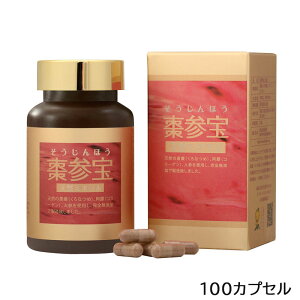 /XSiP5{!X[p[SALEԒIvGg[/Q 100JvZ  Tvg N⏕Hi () (asr)