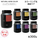 ナッシュ ナチュラルハーブカラー ニュアンスカラー 300g 選べる各種 医薬部外品 (送料無料)