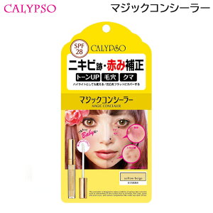 /XSiP5{!X[p[SALEԒIvGg[/Jv\ }WbNRV[[ CG[x[W jLr Ԃݕ␳p (`O)