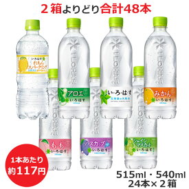 よりどり選べる2箱セット 500mlPET×24本 合計48本 い・ろ・は・す スパークリングれもん アロエ 北海道の天然水 みかん もも ハスカップ シャインマスカット コカ・コーラ商品以外と 同梱不可 【D】(送料無料 九州・沖縄・離島を除く)