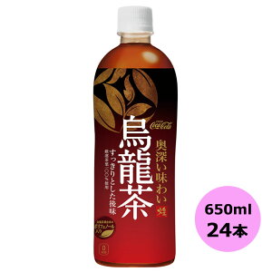 RJER[ (t@) G 650ml×24{ ybg{g