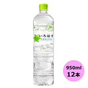 /XSiP10{!BLACKFRIDAYIvGg[/EÉE kC̓VR 950mlPET×12{ RJER[iȊO s yDzyTCYEz 3980~ȏ㑗 ΏۊOi