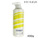 DEMI デミ サマーバー トリートメント 【クール6】 490g