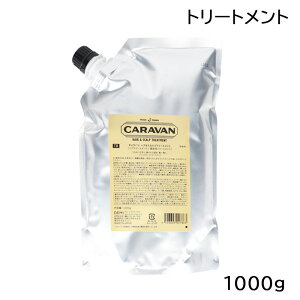 f~ DEMI Lo wAXJvg[gg 1000g lߑւ jp ()