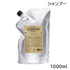 /XSiP5{!X[p[SALEԒIvGg[/f~ DEMI Lo XJvVv[ 1000ml lߑւ jp ()