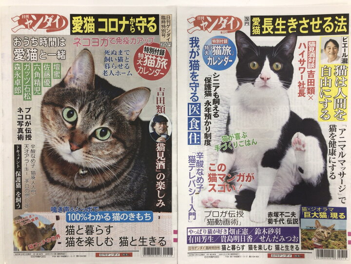 楽天市場 日刊ニャンダイ21 と 日刊ニャンダイ22 お得な2紙セット T Box