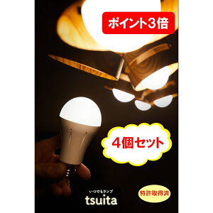 IgN4Zbgy2,998~/1z łv tsuita E26OR50W-S tsuita cC^ ydĂȂd zhЃObY Ƒ̈S Ƃ d   QVC 莝 LED XCb` 