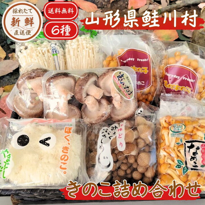 楽天市場】きのこ キノコ セット 詰め合わせ 鮭川村 山形 秋の味覚 