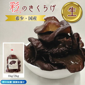 【テレビ紹介あり】彩のきくらげ 生きくらげ ZIP 国産 キクラゲ 木耳 きくらげ 歯ごたえ ぷりぷり こりこり 肉厚 食材 和食 洋食 中華 新聞 首都圏センター 川口工場 印刷工場 栽培 国内栽培 きのこ 無添加 希少 レア おいしい 美味しい 1kg 2kg 業務用