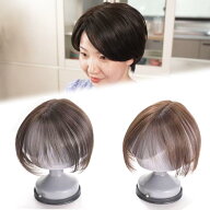 パッと装着！ お手軽ウィッグ premium 【TBSショッピング】