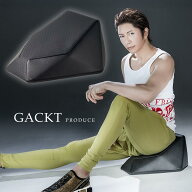エクストラクッション ／ GACKTプロデュース ／ スタイルアップ 骨盤 柔軟 振動 振動マシン ストレッチ 2…