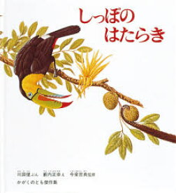 【送料無料】しっぽのはたらき／川田健／ぶん　薮内正幸／え　今泉吉典／監修