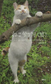 【3980円以上送料無料】ねこサプリ〈笑〉　人によく効くNEKO－PHOTO202／LOVE　CAT　37／著