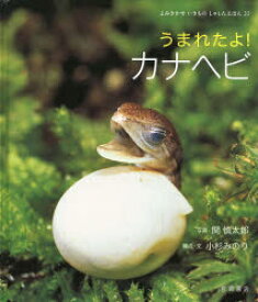 【3980円以上送料無料】うまれたよ！カナヘビ／関慎太郎／写真　小杉みのり／構成・文