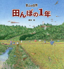 【3980円以上送料無料】田んぼの1年／瀬長剛／絵・文