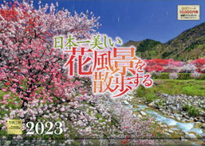 y3980~ȏ㑗zJ_[@f23@{ԕi^