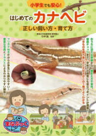 【3980円以上送料無料】小学生でも安心！はじめてのカナヘビ正しい飼い方・育て方／竹中践／監修