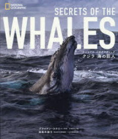 【3980円以上送料無料】クジラ海の巨人／ブライアン・スケリー／写真　片神貴子／訳　田島木綿子／日本語版監修